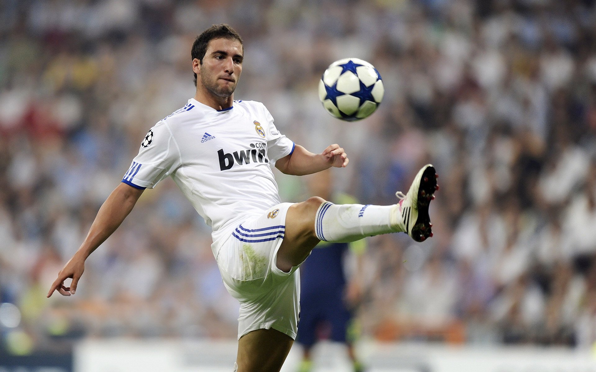 传奇班底:那些曾经统治欧冠的王朝